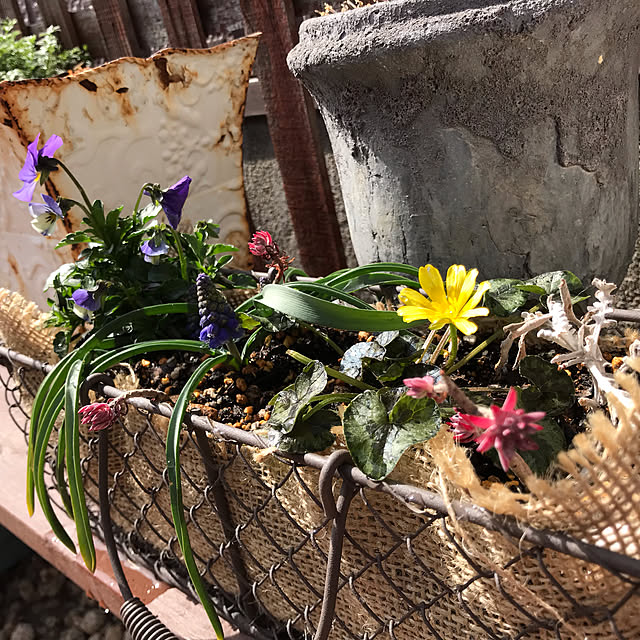 kokko3さんの実例写真