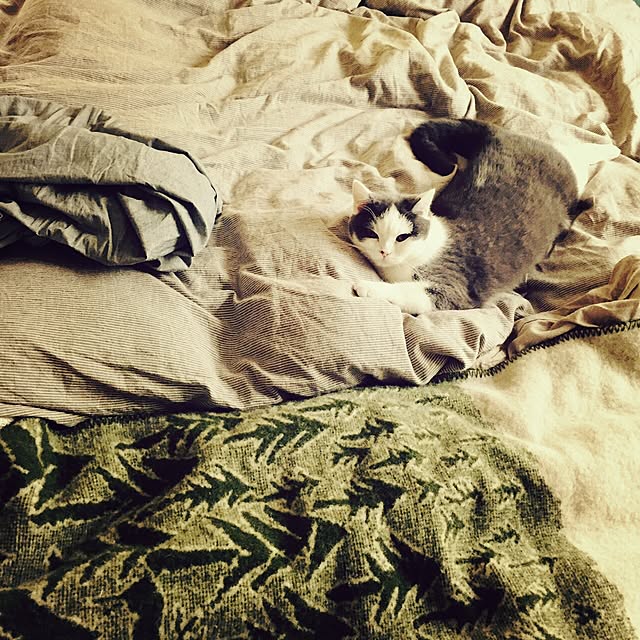 yunさんの実例写真