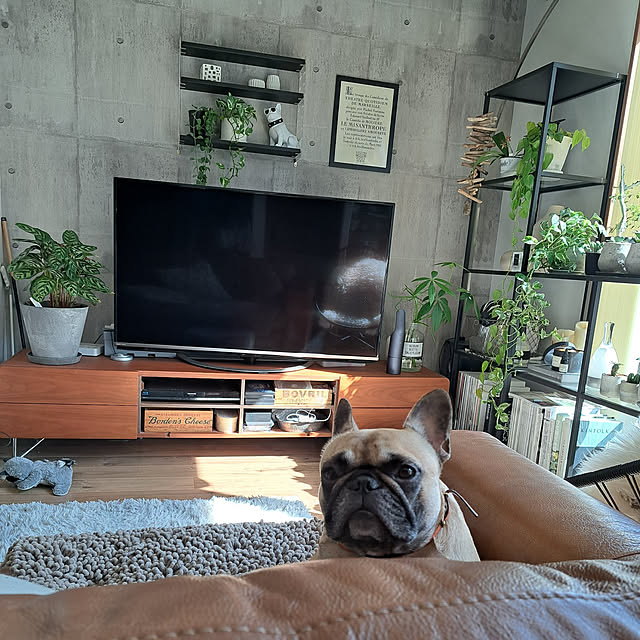 renrenさんの実例写真