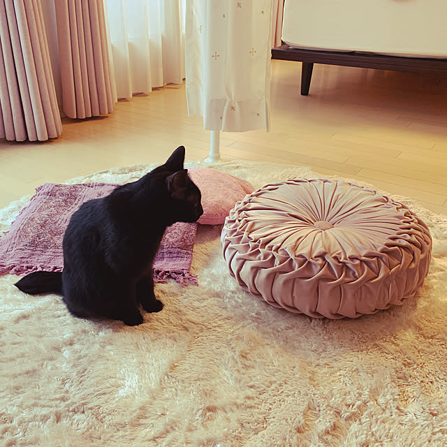 mameazさんの実例写真