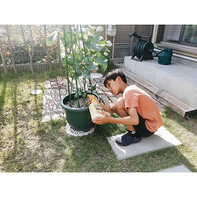 ymさんの実例写真