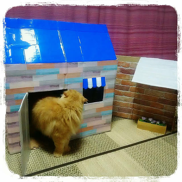 minaさんの実例写真