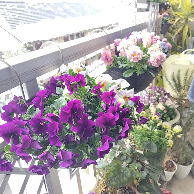 yuuu7712さんの部屋