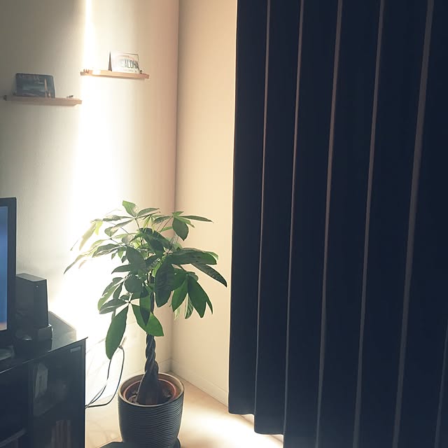 miniさんの実例写真