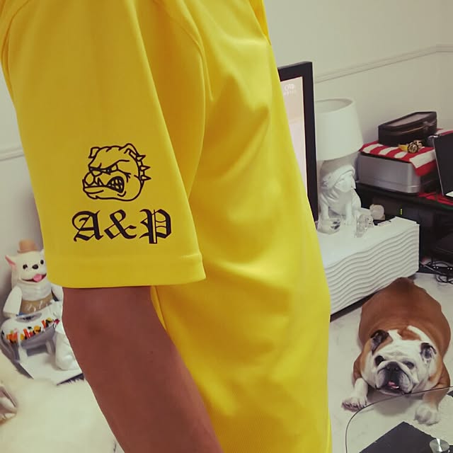 panchobiさんの実例写真