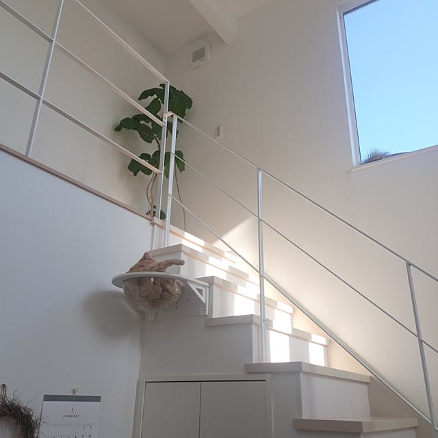 ayumiさんの実例写真