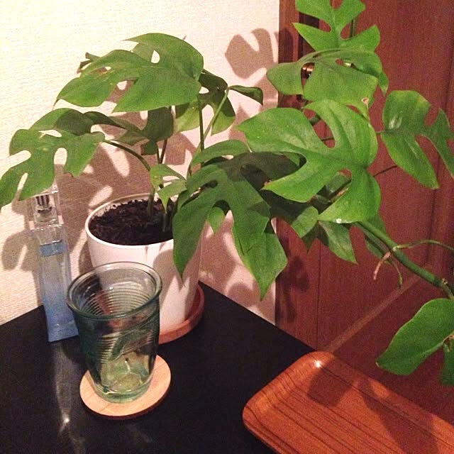 okkさんの実例写真