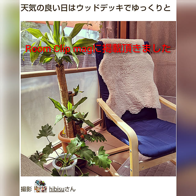 hibisuさんの実例写真