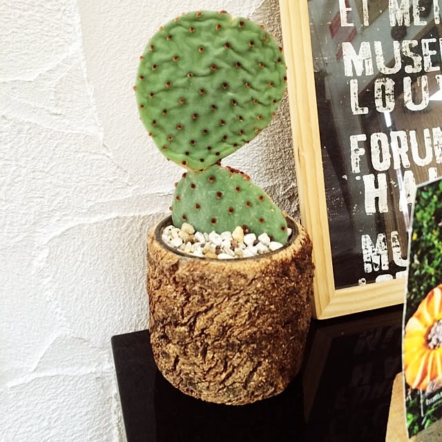 Oya-Gさんの実例写真