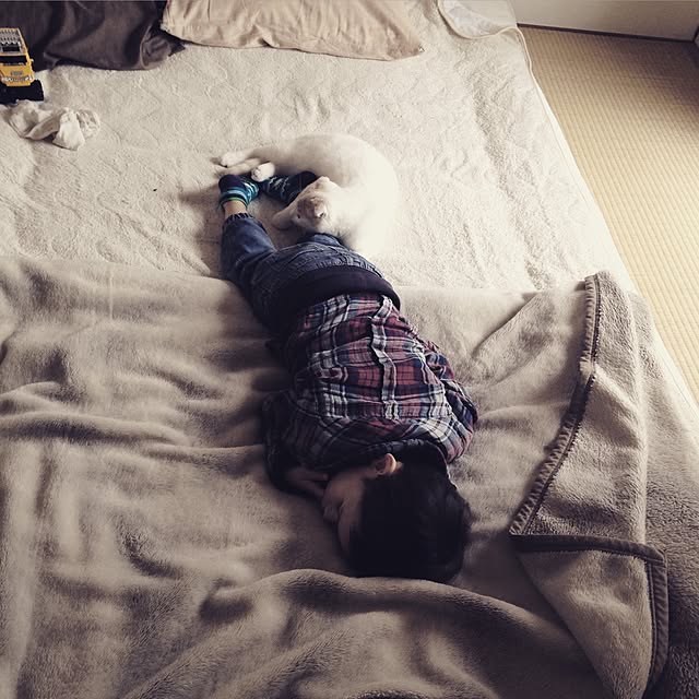 onojiijiさんの実例写真