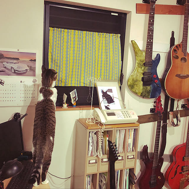 jijiさんの実例写真