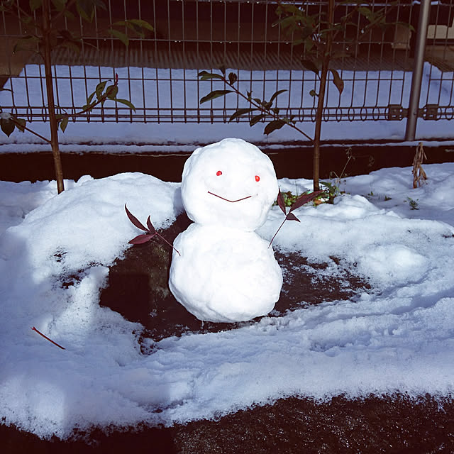 NAOさんの実例写真