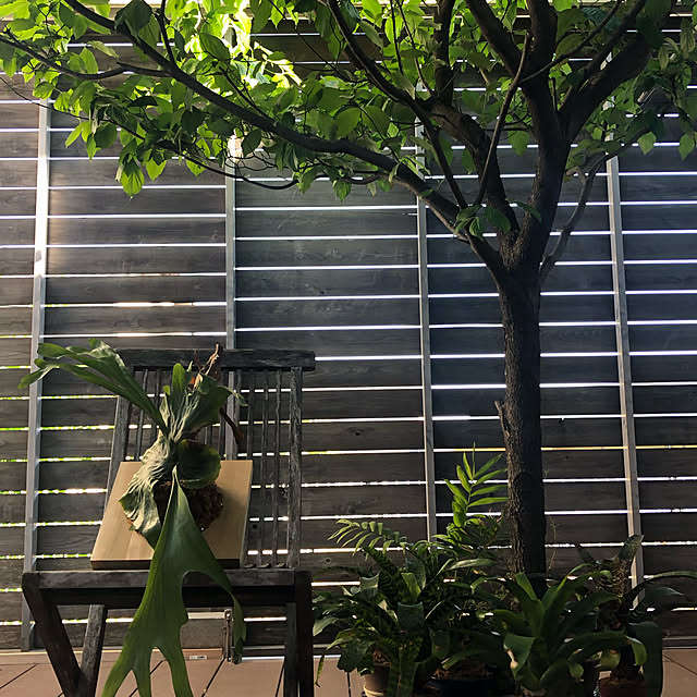 runrunyanさんの実例写真