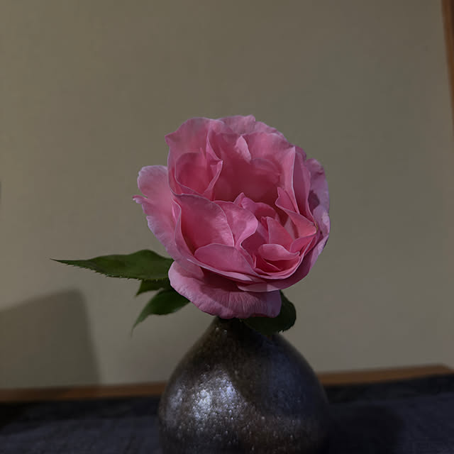 sakakenさんの部屋