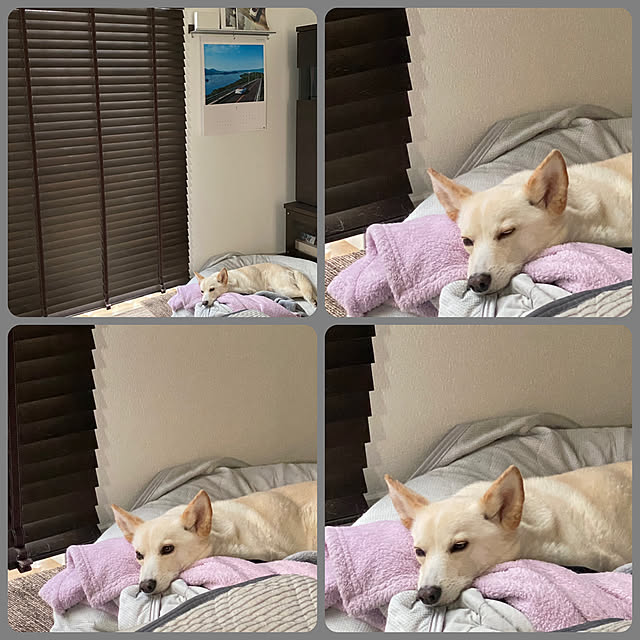 tanboさんの実例写真