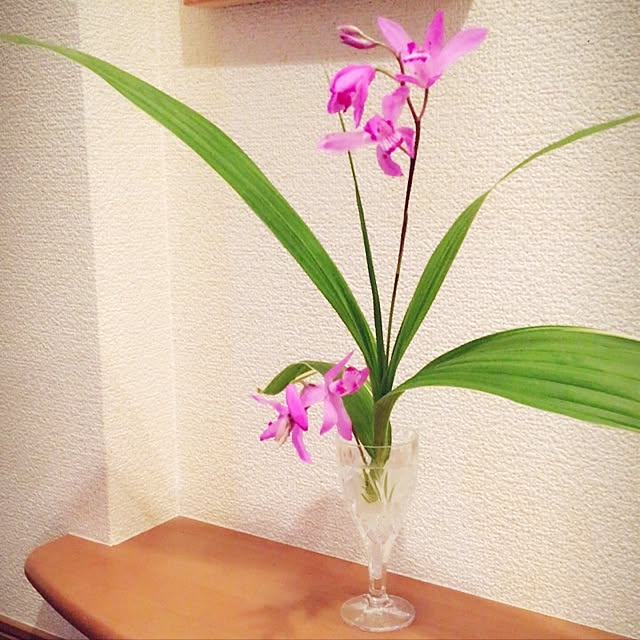 emiさんの実例写真