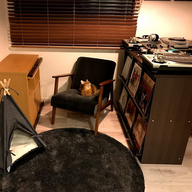 部屋全体/DJブース/IKEA/カインズホーム/ペットテントのインテリア実例 - 2019-01-24 18:15:06