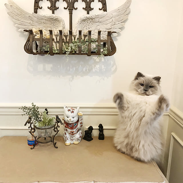 yuchiさんの実例写真