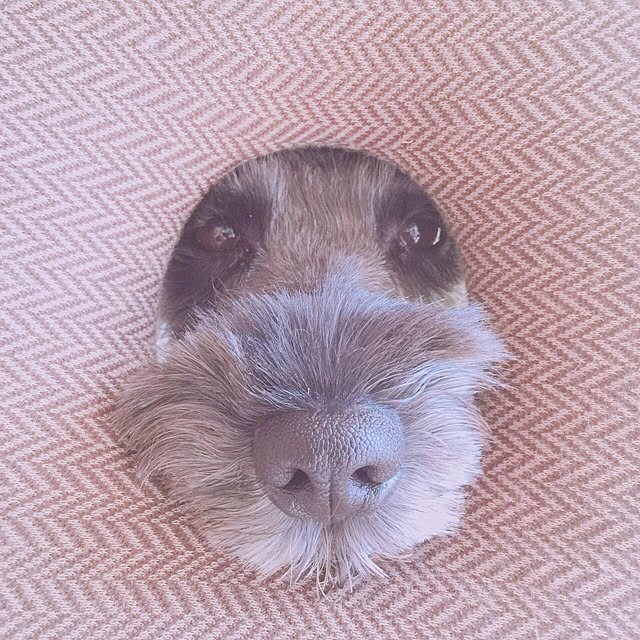 Haruさんの実例写真