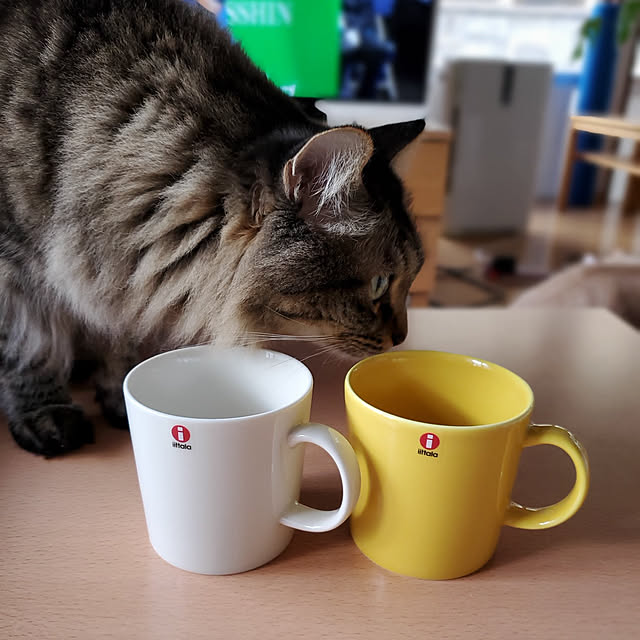 makoさんの実例写真