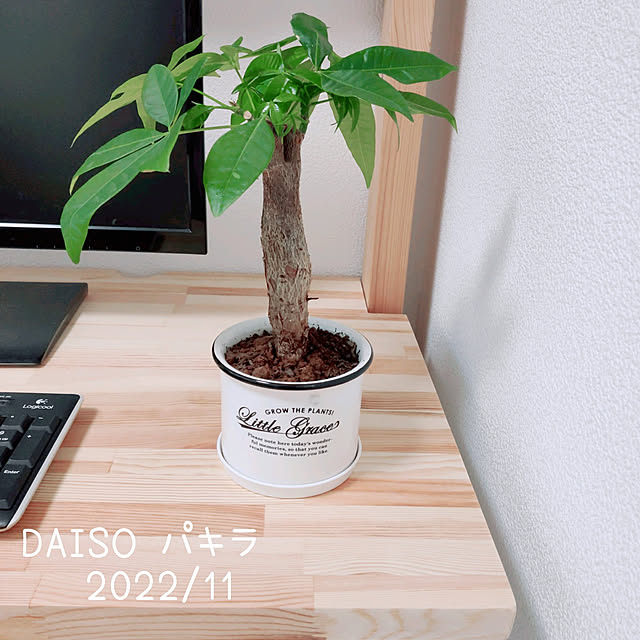 tiny.house+さんの実例写真