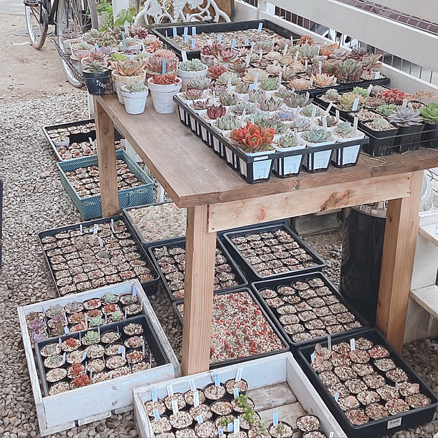 suzuayamamaさんの実例写真