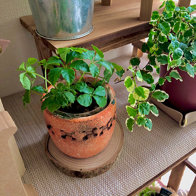 M_Mさんの部屋