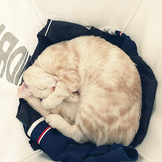 aikaさんの実例写真