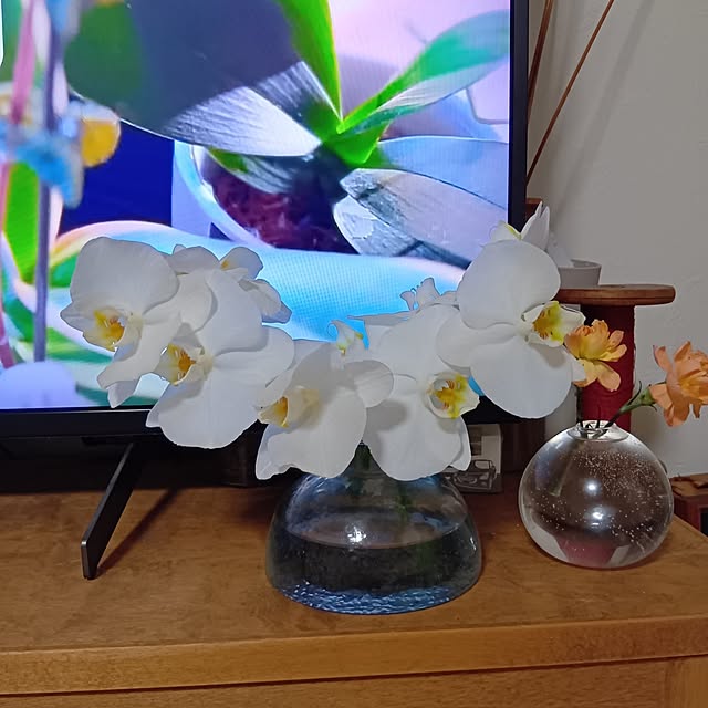 tomomiさんの部屋