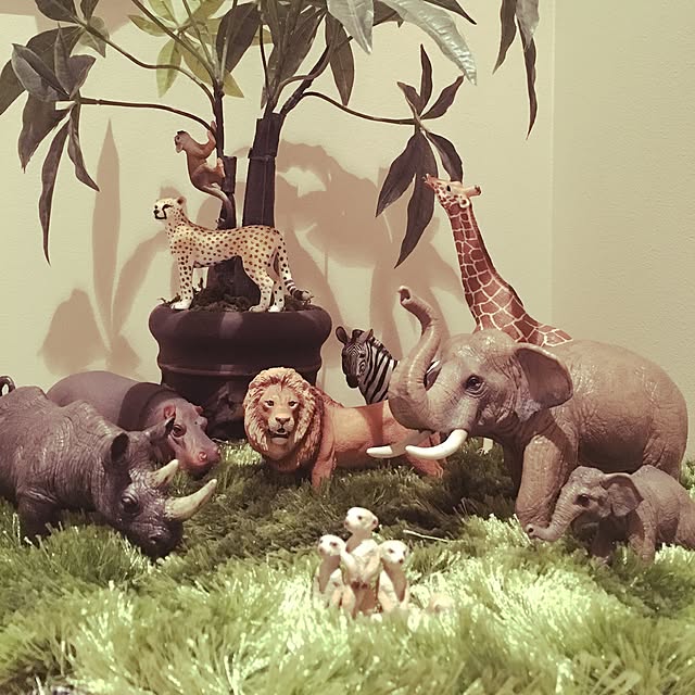 Turinさんの実例写真