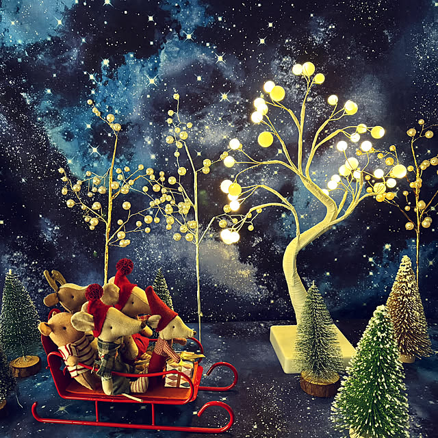 cielさんの実例写真