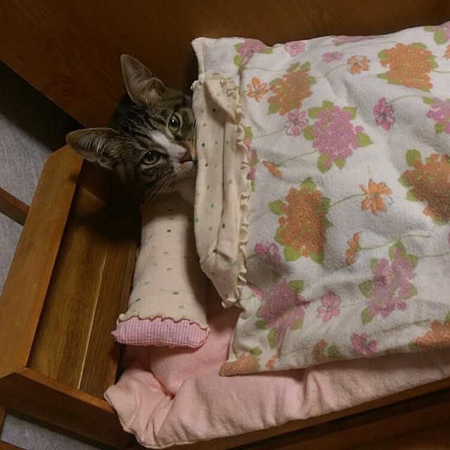 OKANさんの実例写真