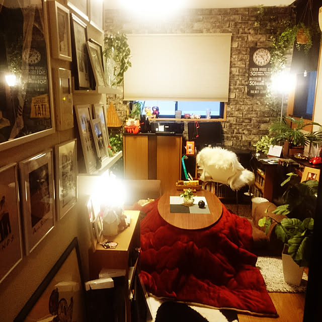 Yuki_sharaさんの実例写真