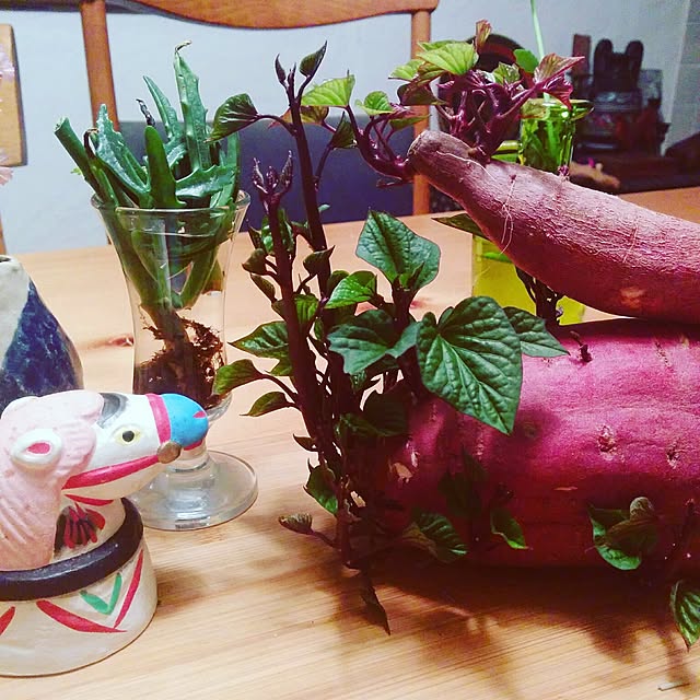 naraさんの実例写真