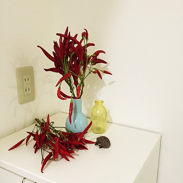 l11aさんの実例写真