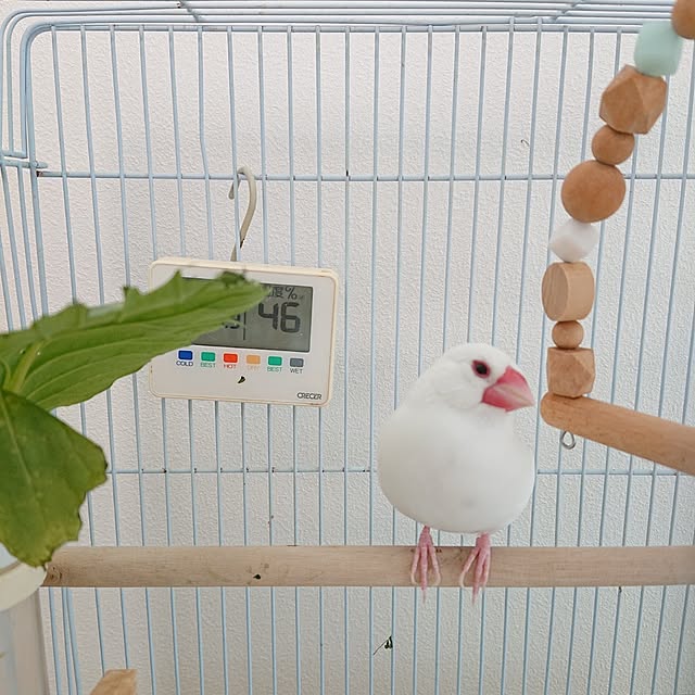 otokiさんの実例写真