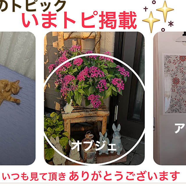ritsukoさんの実例写真