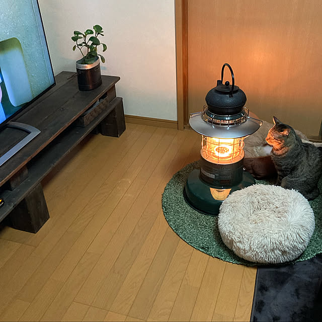 mikan161さんの実例写真