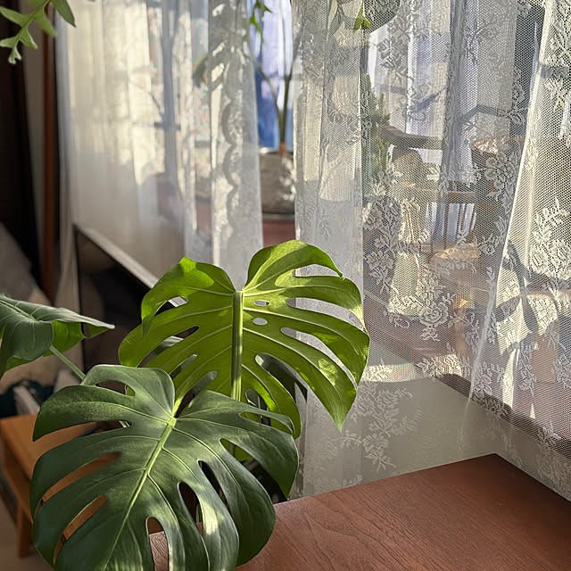ndmynwkさんの部屋