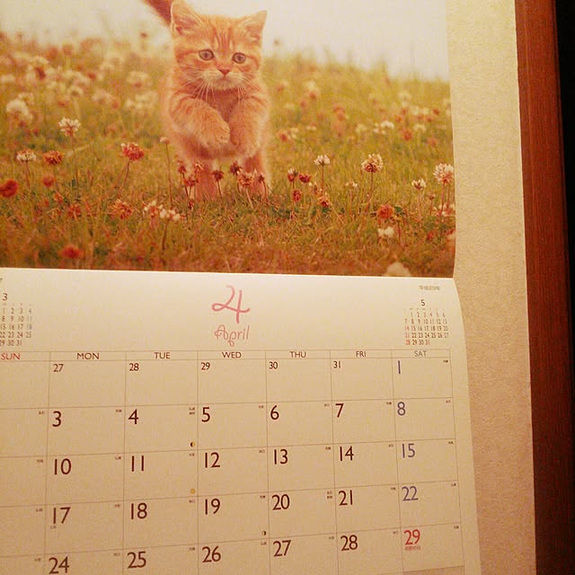 Tomopさんの実例写真