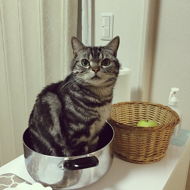 richanさんの実例写真