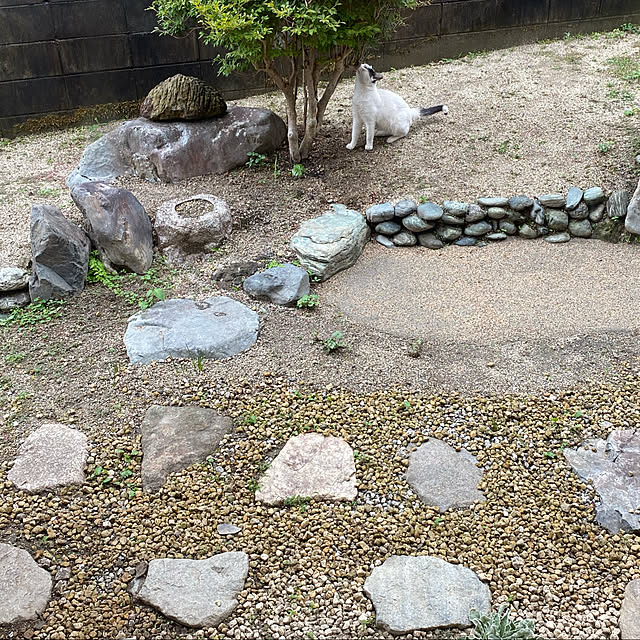 uninekoさんの実例写真