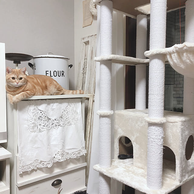 Atelier.mさんの実例写真