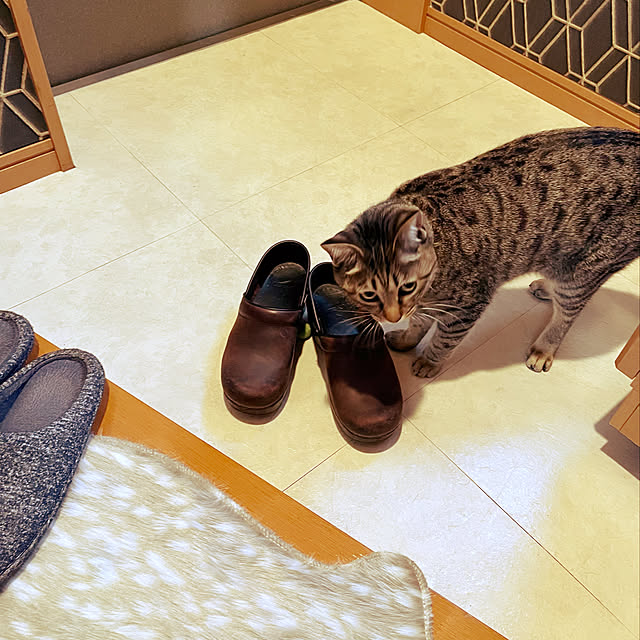 Mさんの実例写真