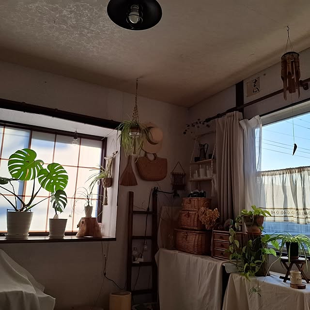 midoriさんの部屋