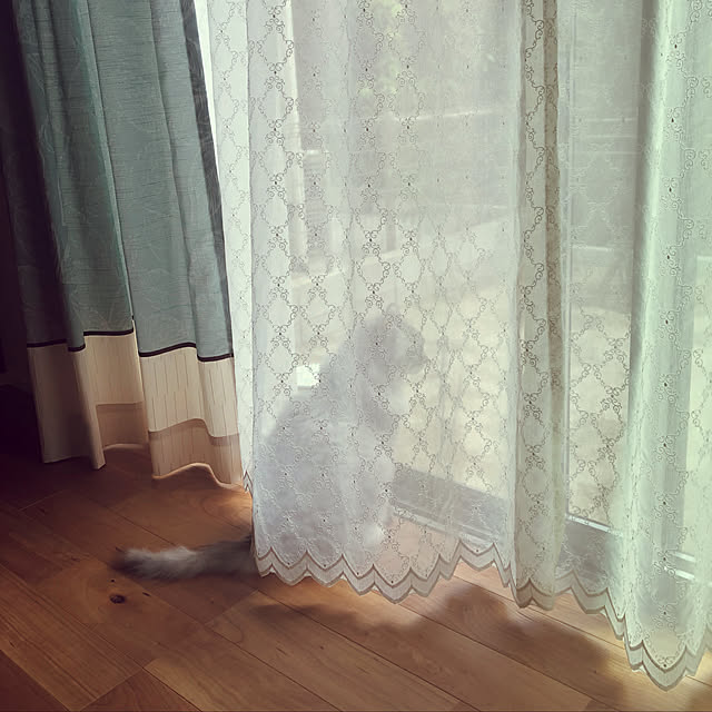 Manamiさんの実例写真