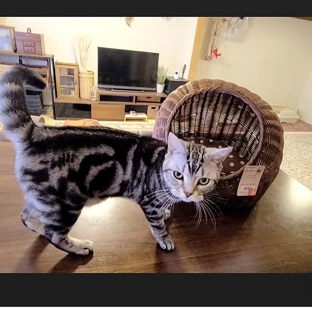 lovepeaceさんの実例写真