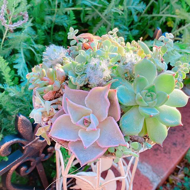 Hanakaさんの部屋