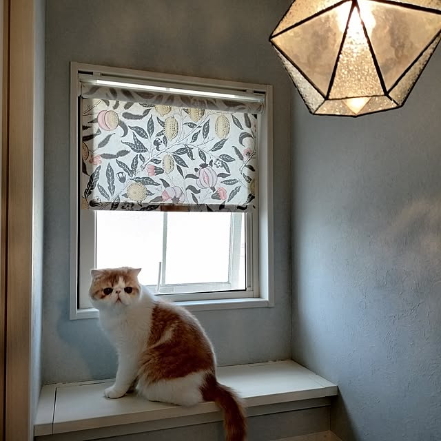 s.houseさんの部屋