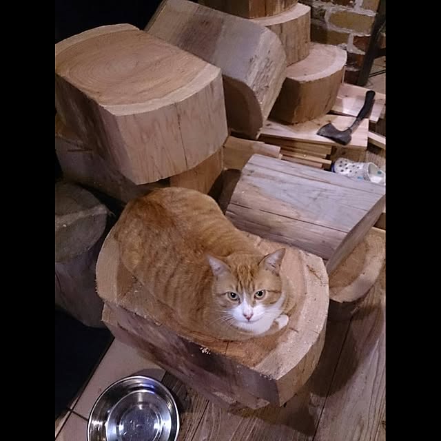 suenagahousingさんの実例写真